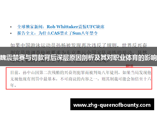 魏震禁赛与罚款背后深层原因剖析及其对职业体育的影响