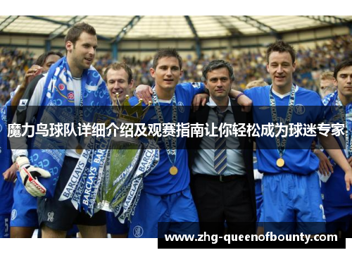 魔力鸟球队详细介绍及观赛指南让你轻松成为球迷专家